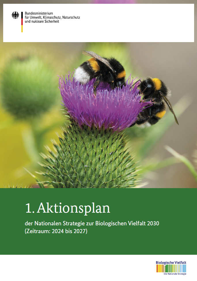 Cover: Zwei Hummeln auf einer Distel