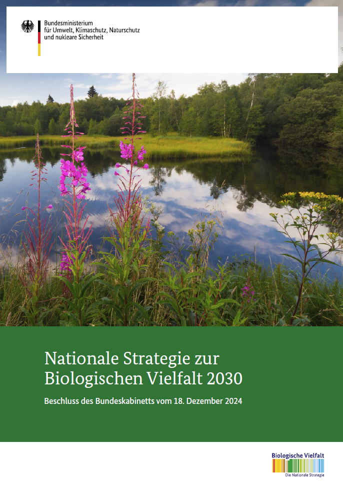 Cover: Seelandschaft mit Blumen