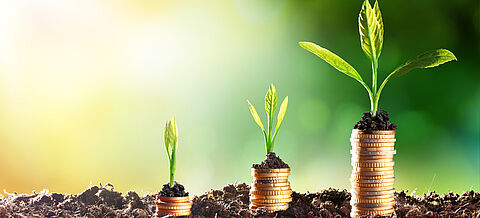 Münzenstapel mit Pflanzen