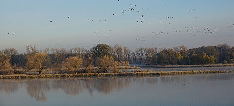 Sonnenaufgang im Drömling-Naturpark
