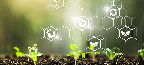 Boden mit Setzlingen, darüber einen Netzwerkstruktur als Symbol für KI